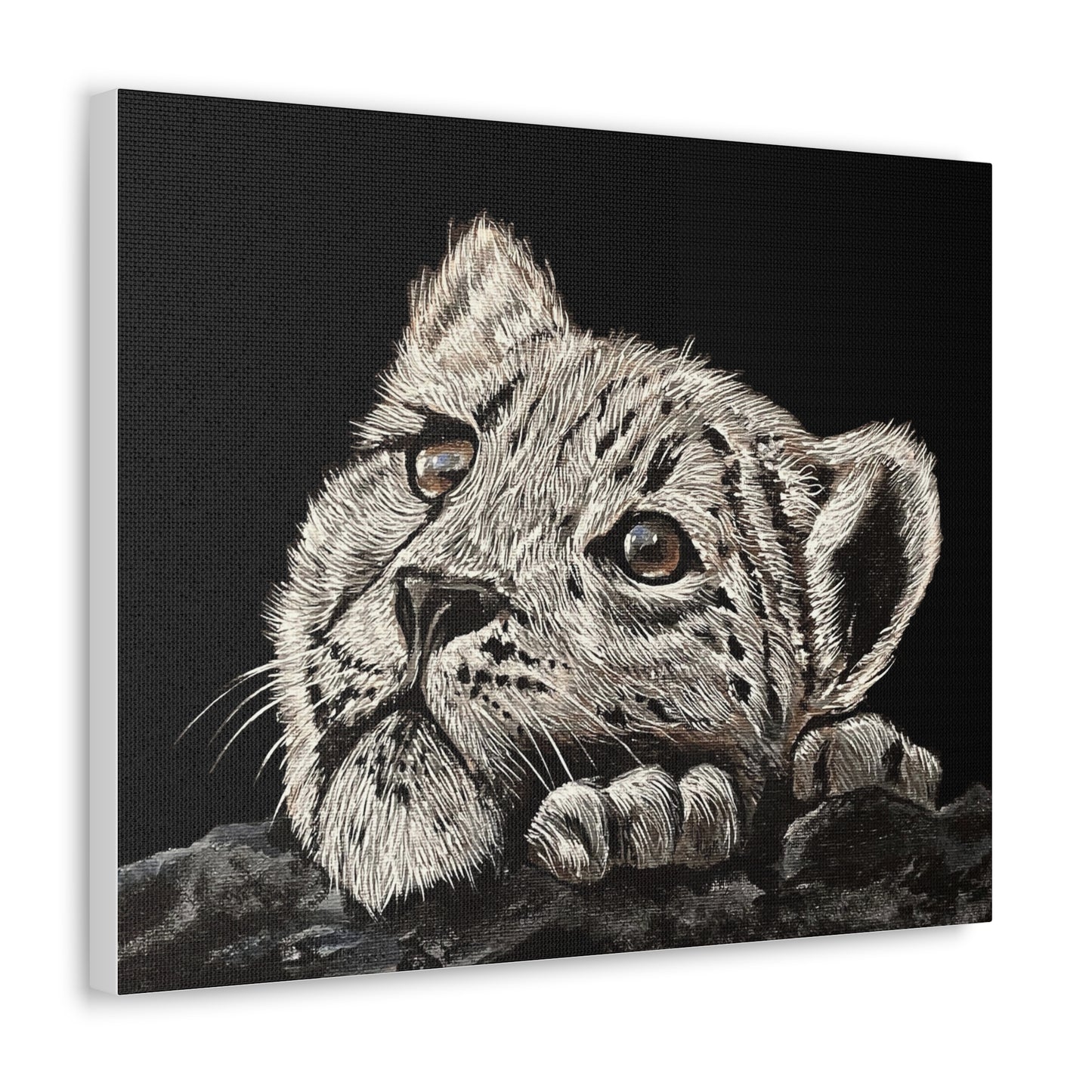 Snow Leopard Cub - Stretched Canvas Print
