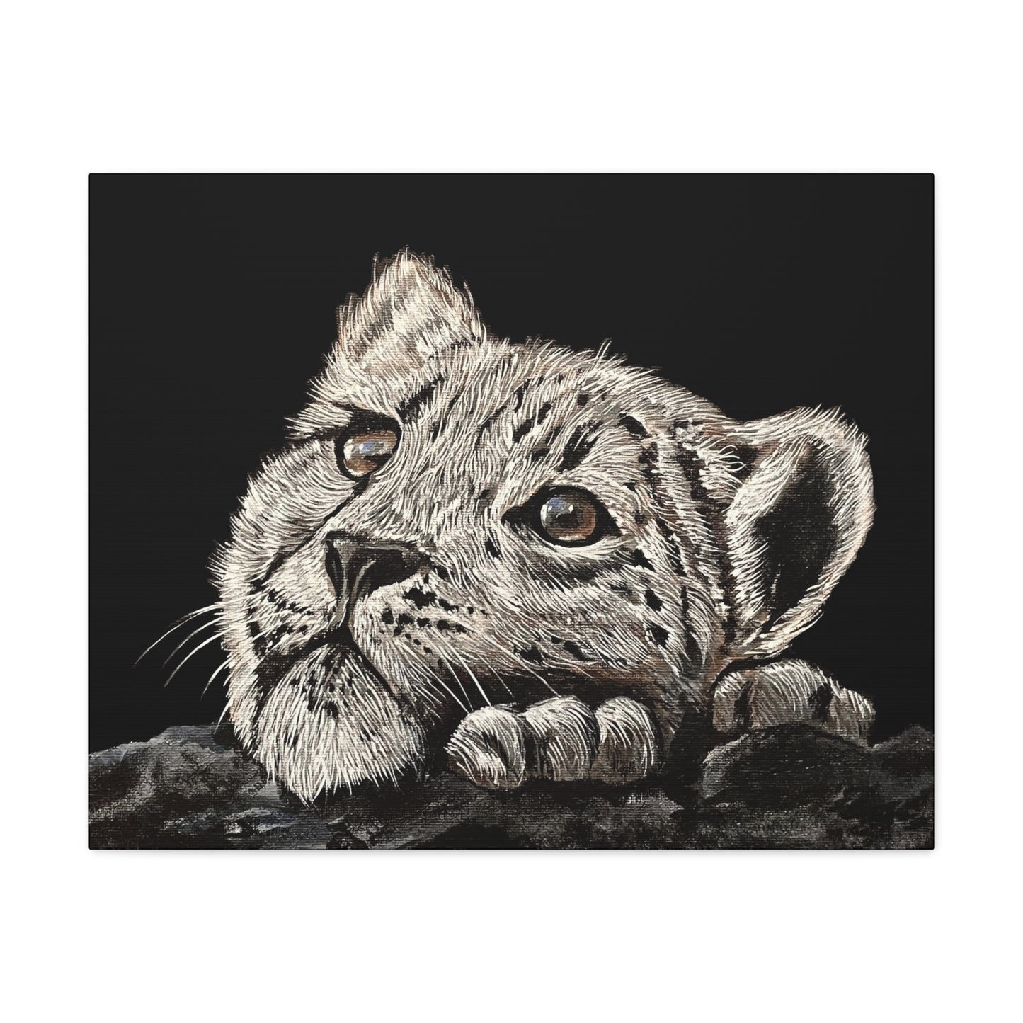 Snow Leopard Cub - Stretched Canvas Print