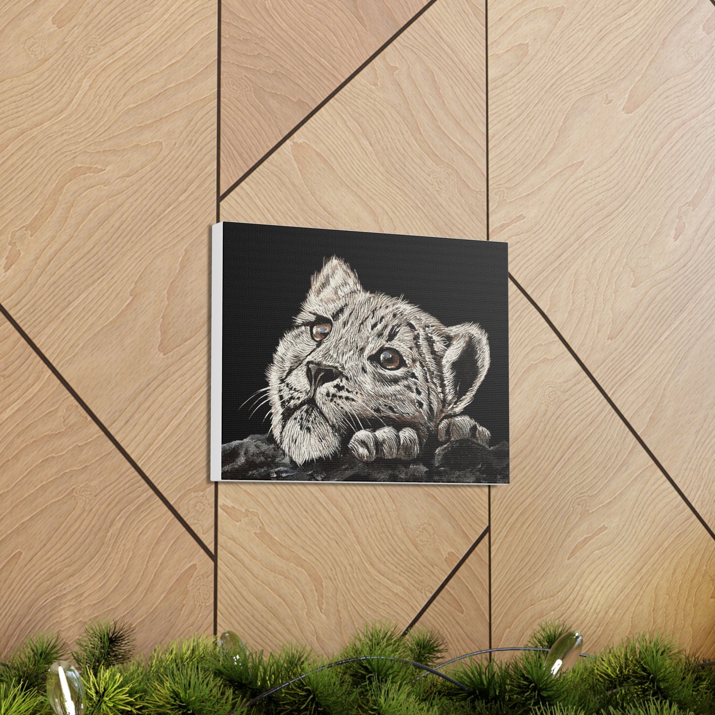 Snow Leopard Cub - Stretched Canvas Print