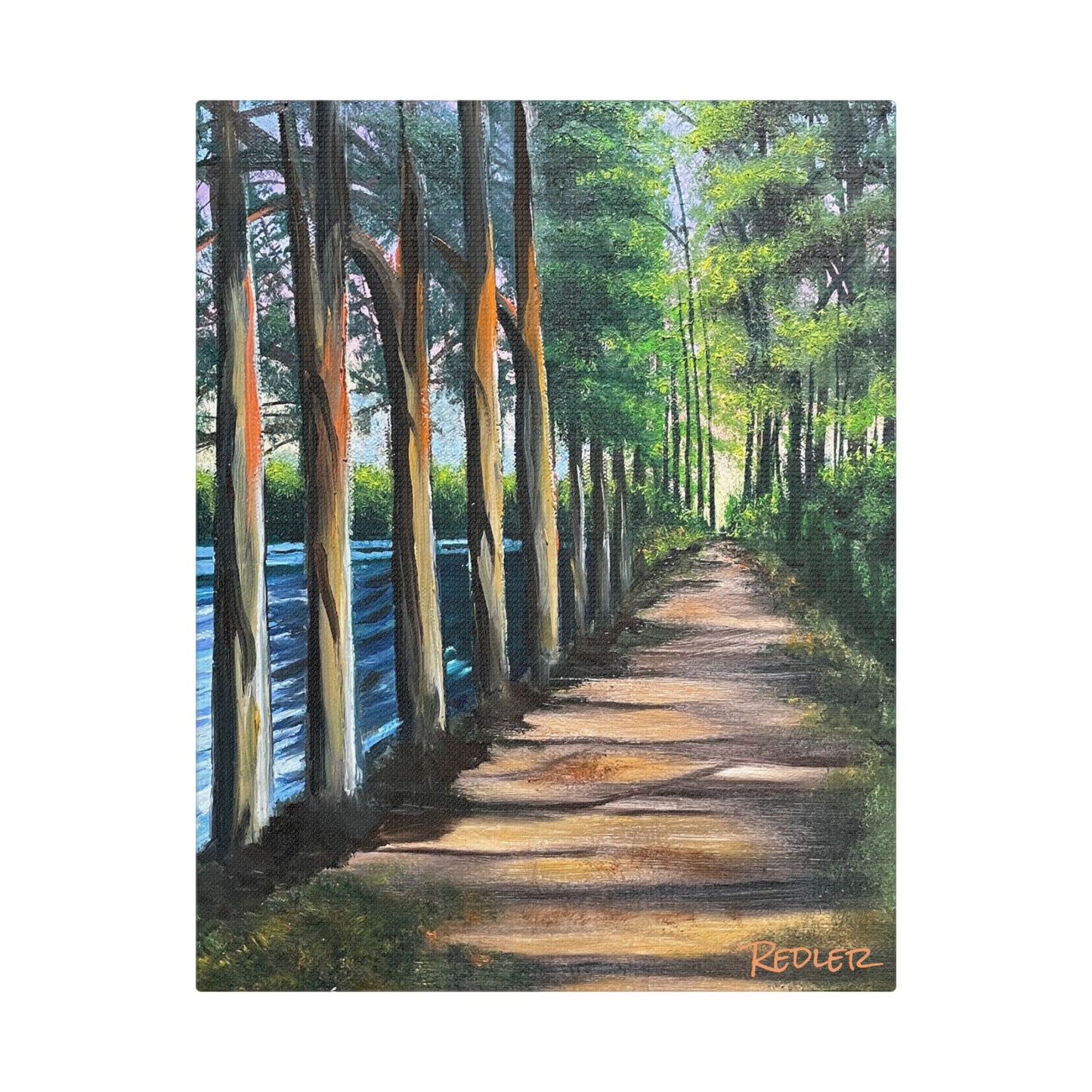 Stretched Satin Canvas Print - Serene Forest Path Artwork