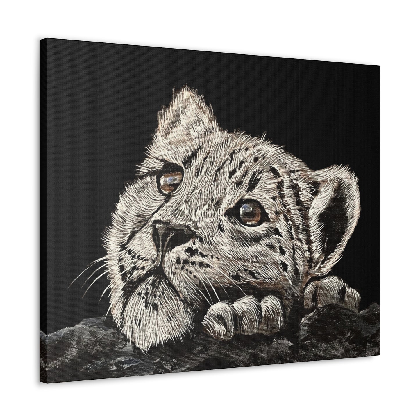 Snow Leopard Cub - Stretched Canvas Print