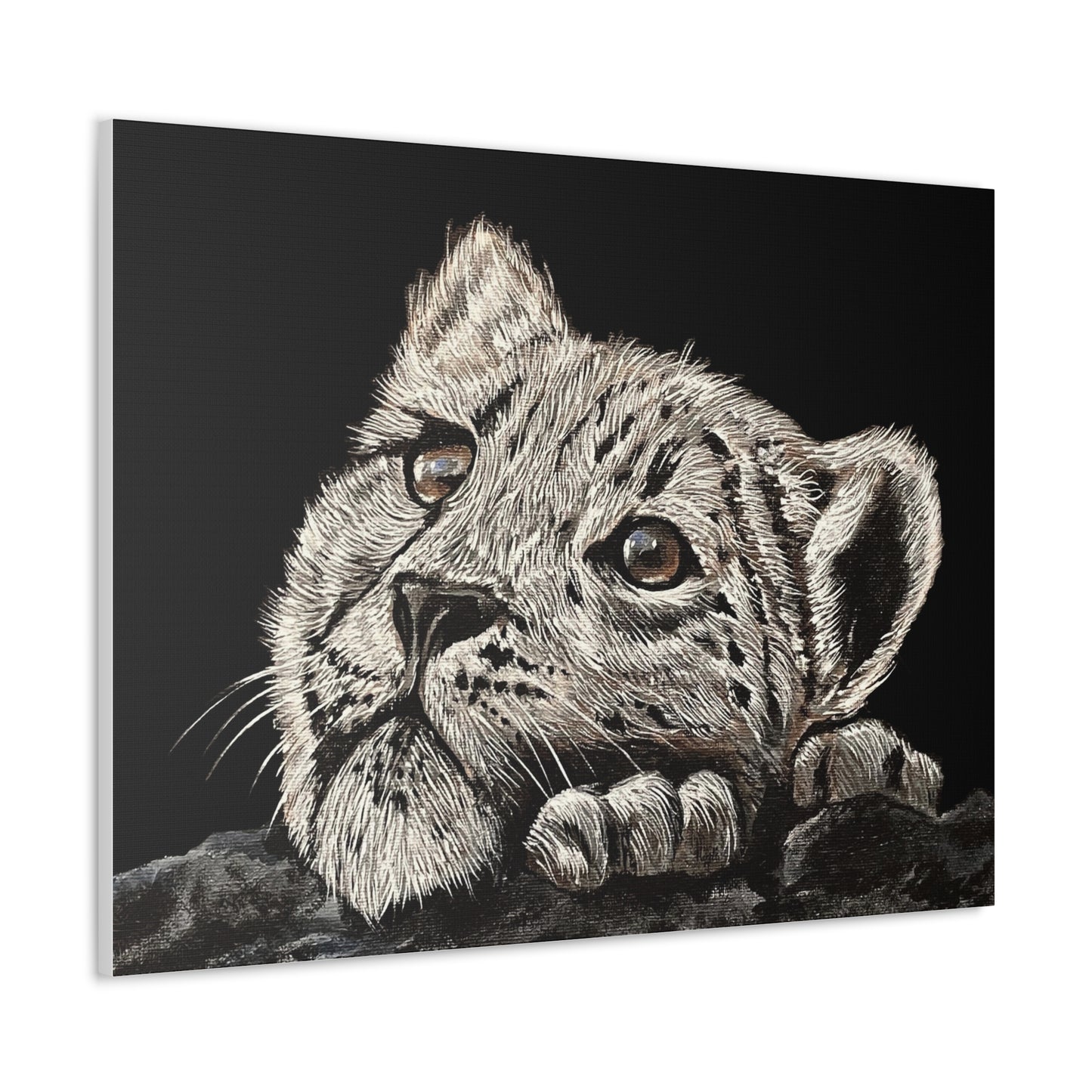 Snow Leopard Cub - Stretched Canvas Print