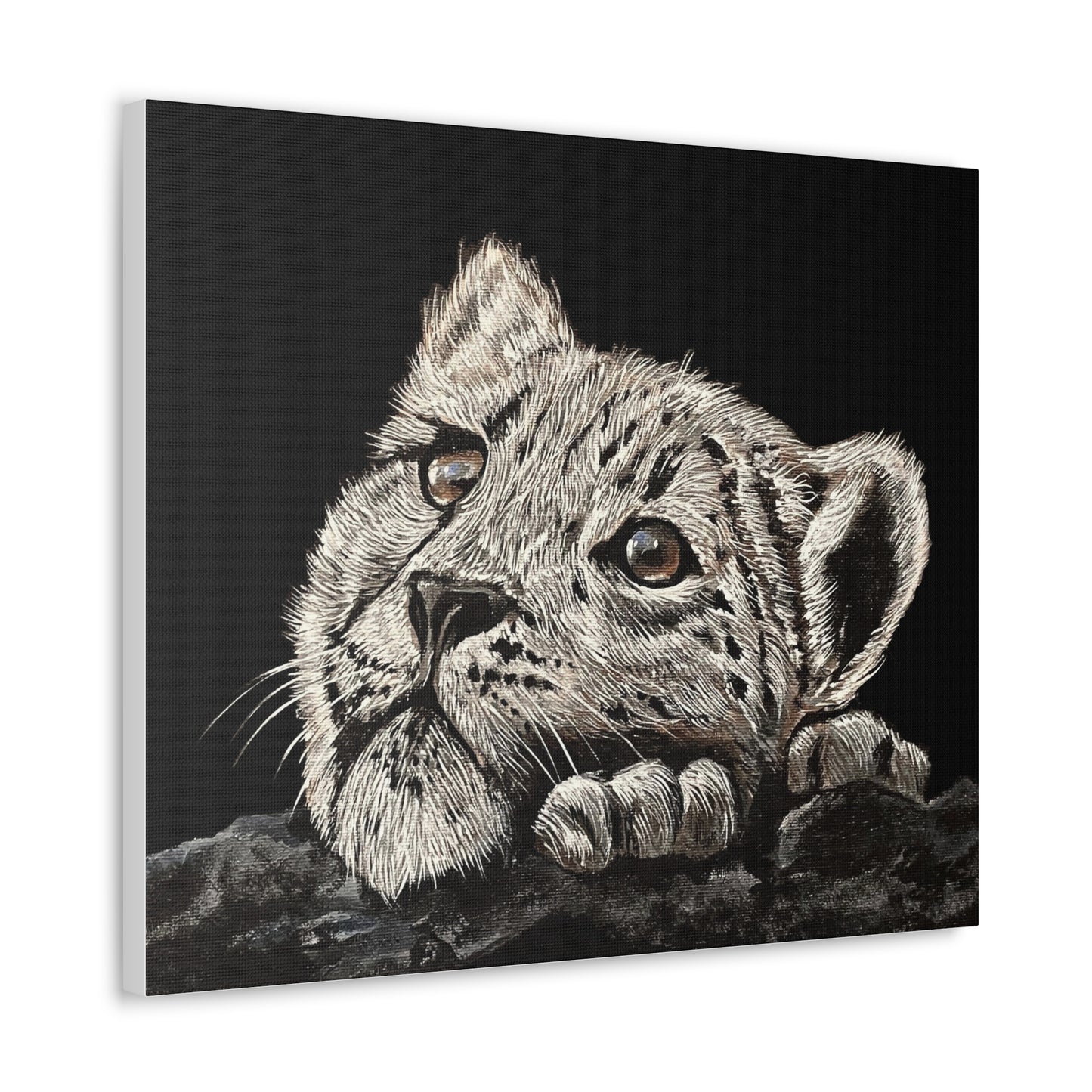 Snow Leopard Cub - Stretched Canvas Print