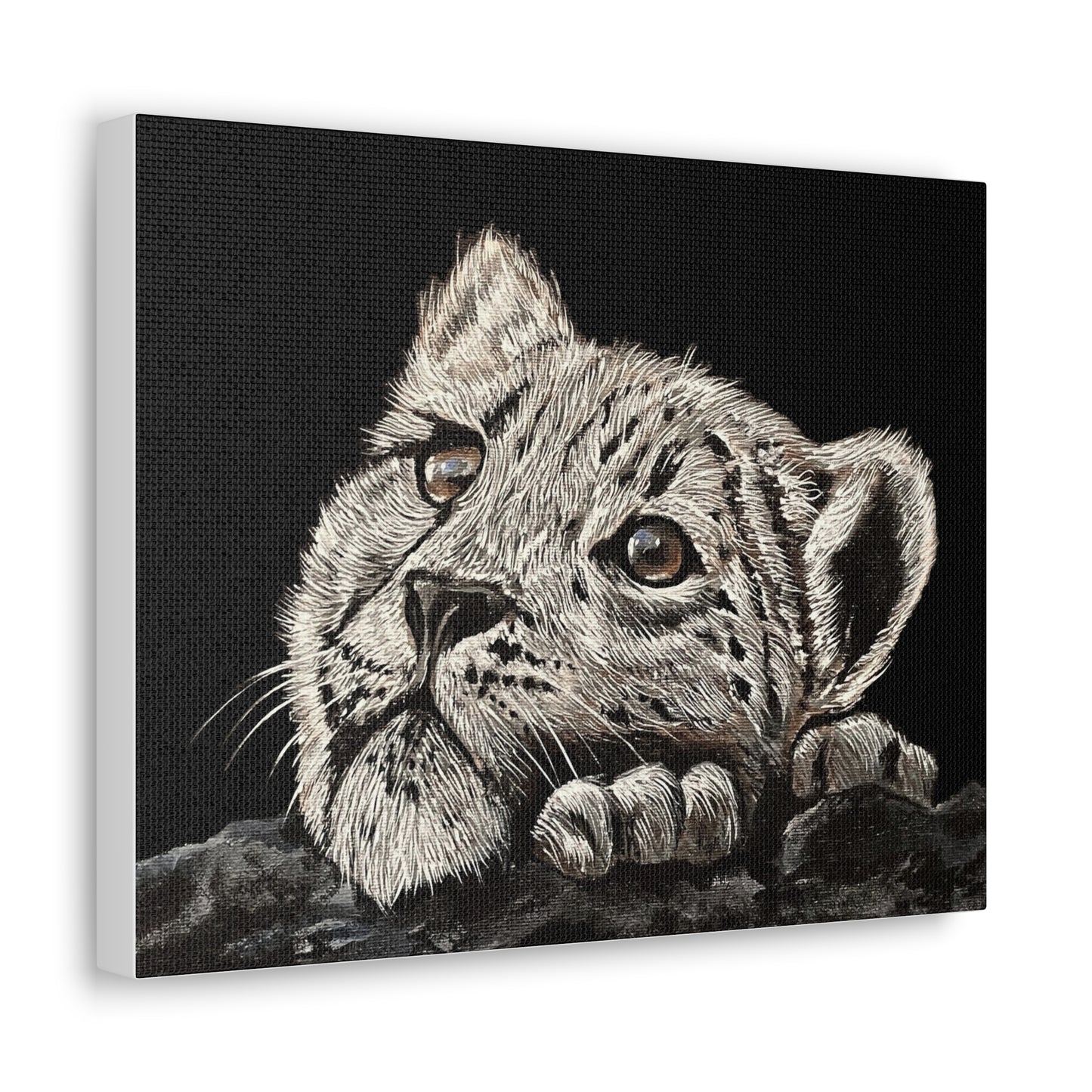 Snow Leopard Cub - Stretched Canvas Print