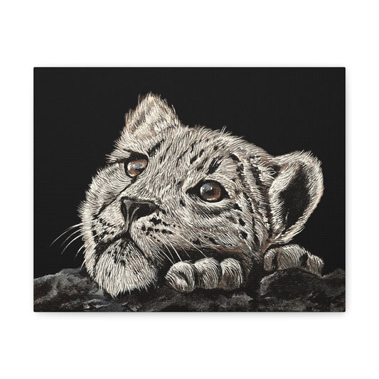 Snow Leopard Cub - Stretched Canvas Print